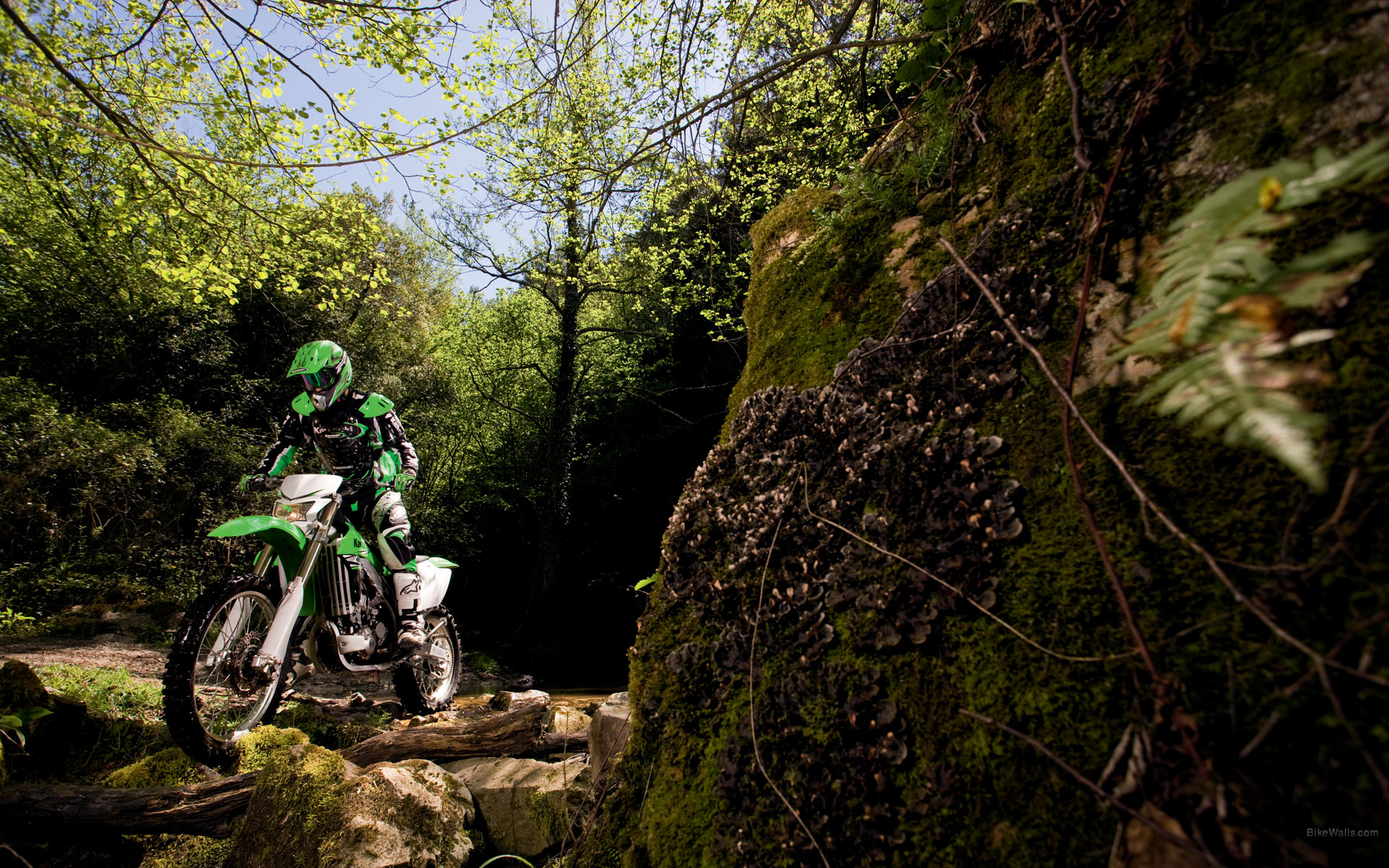 Kawasaki_KLX450R_2009_03.jpg