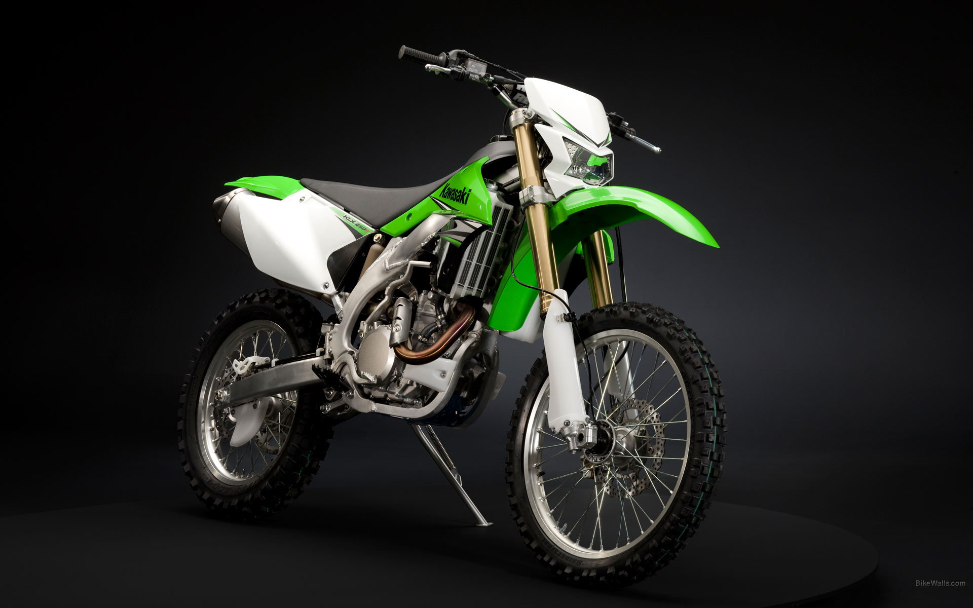 Kawasaki_KLX450R_2009_06.jpg