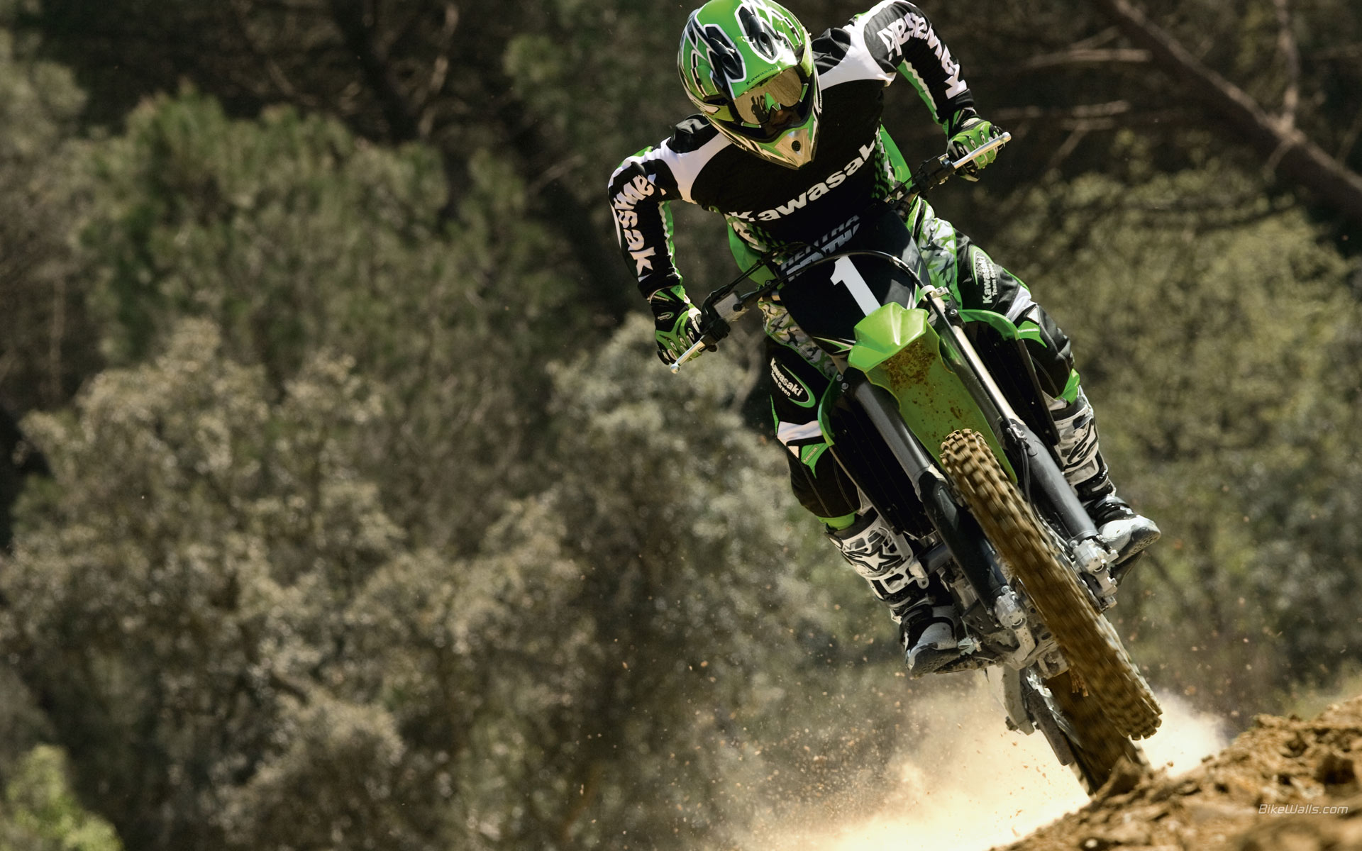 Kawasaki_KX250F_2009__07.jpg