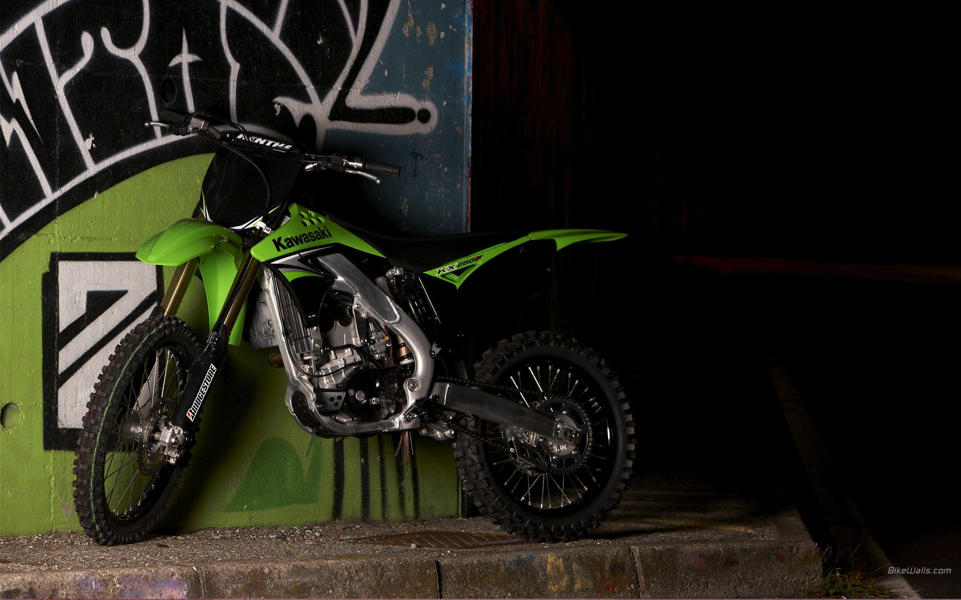 Kawasaki_KX250F_2009_01.jpg