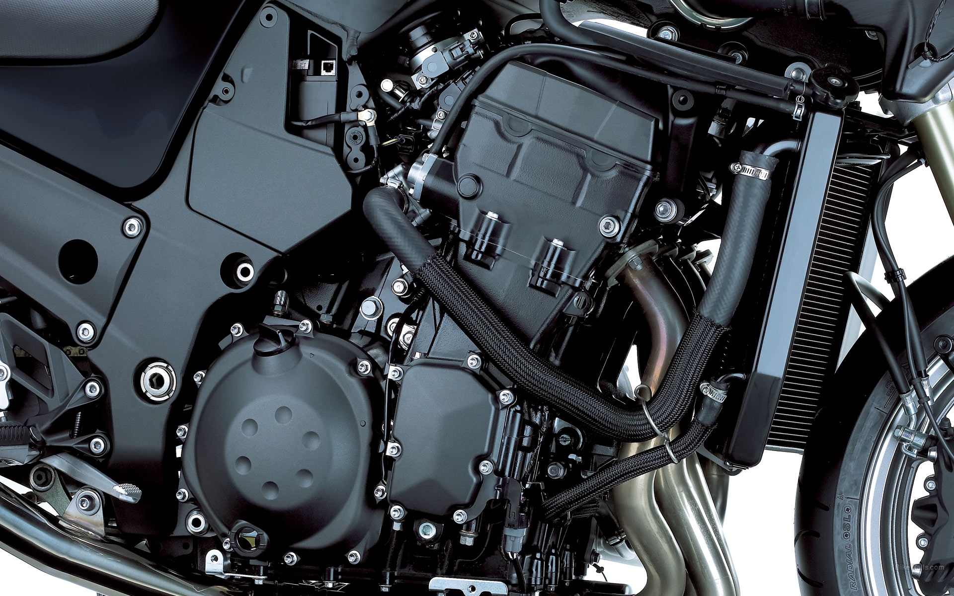 Kawasaki_ZZR1400_ABS_2008_17.jpg