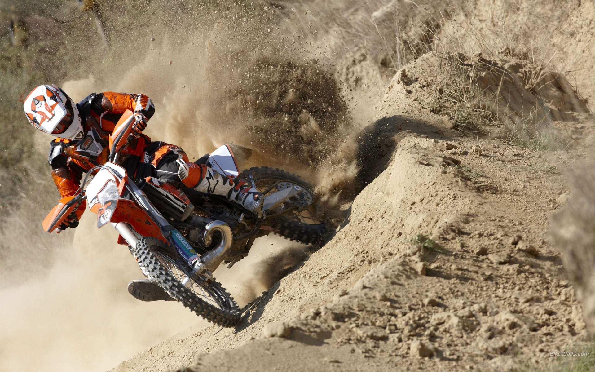 KTM_250_EXC_2010_09.jpg