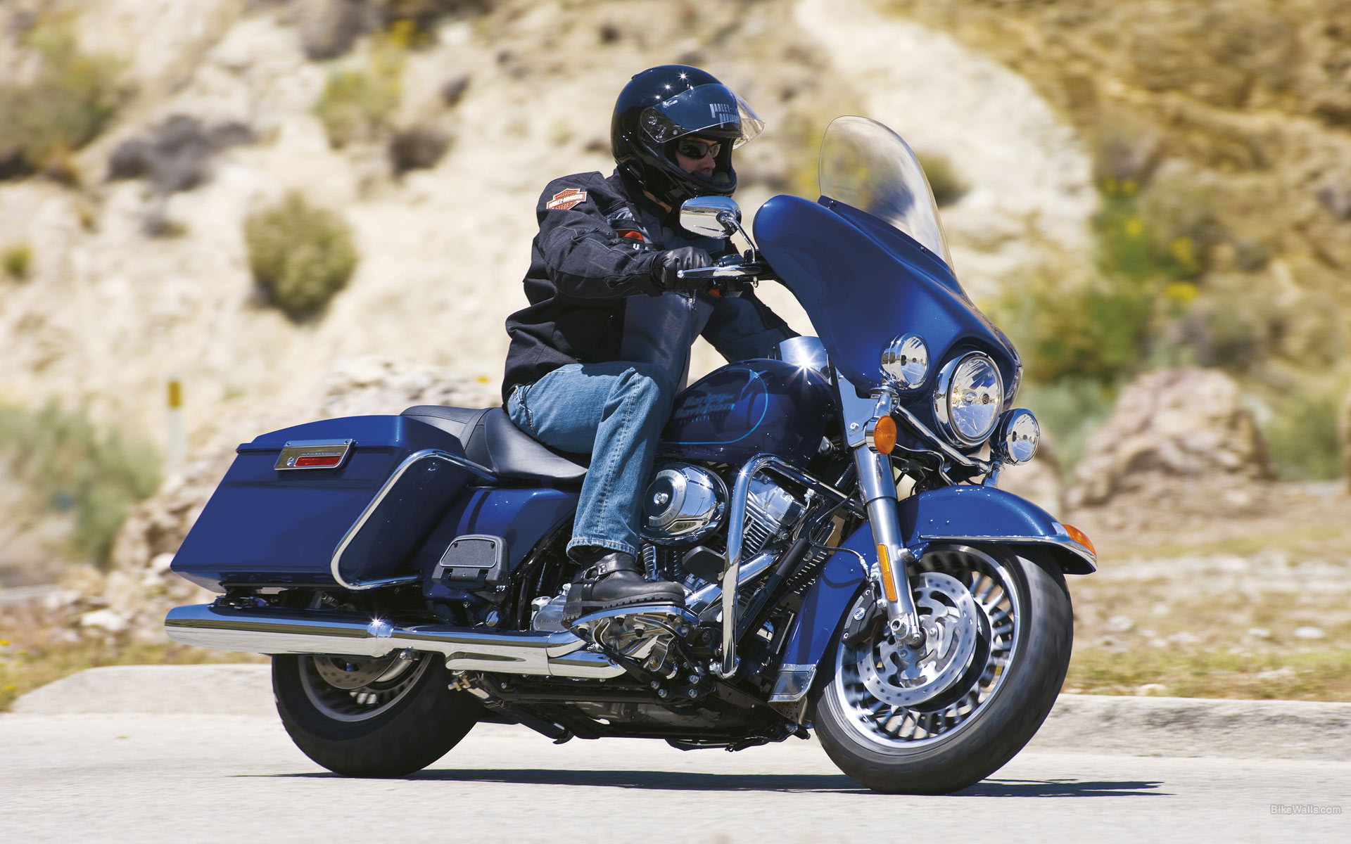 HD_FLHT_Electric_Glide_Standard_2009_01.jpg