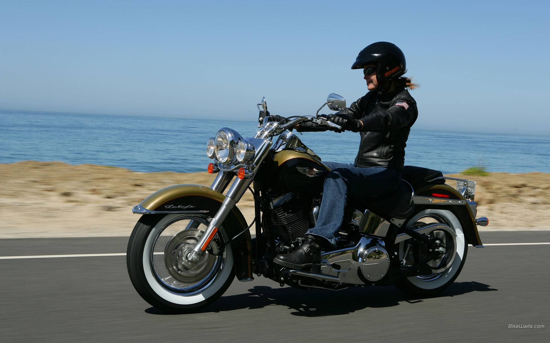 Harley-Davidson_Softail_FLSTN_2007_02.jpg