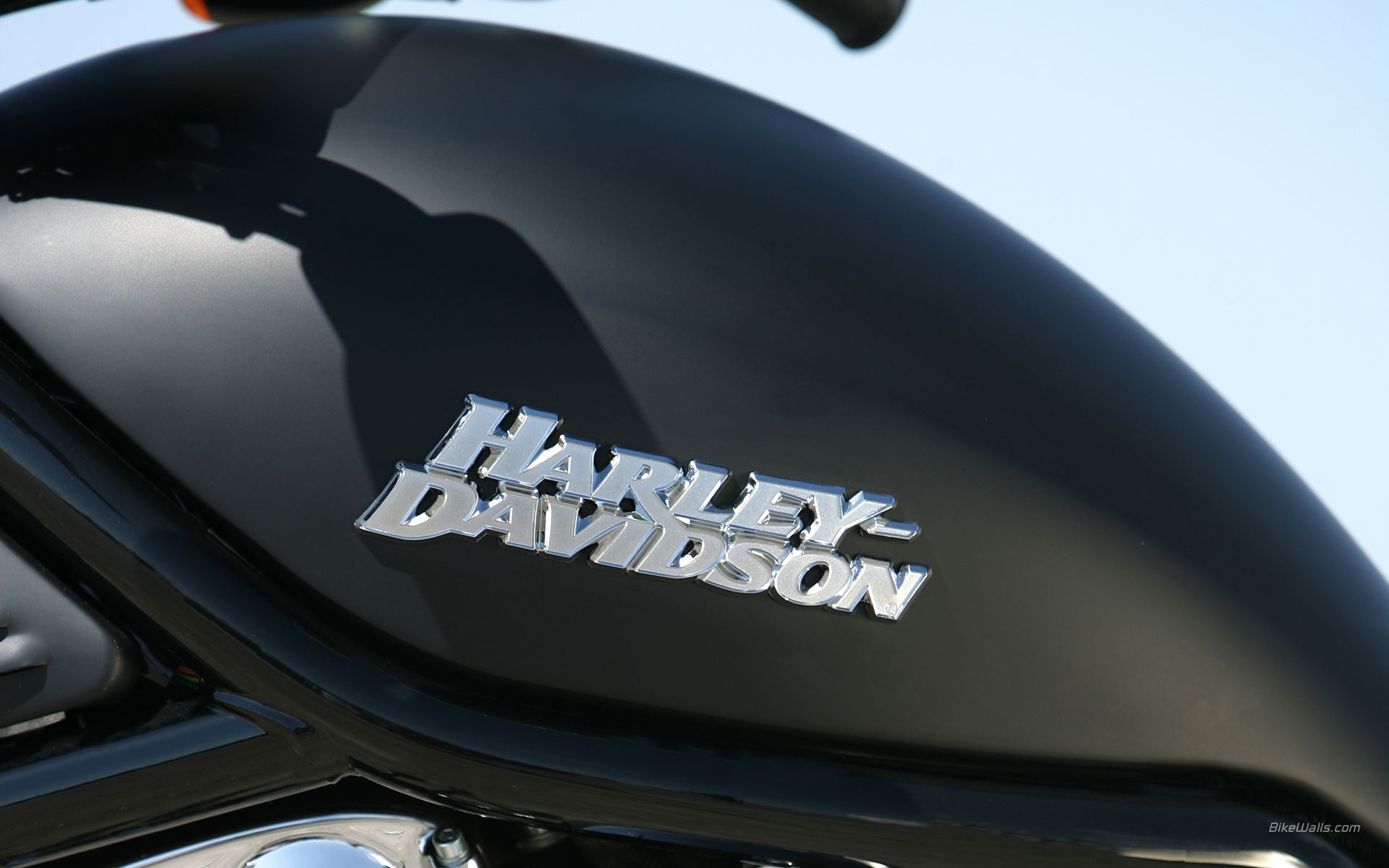 Harley-Davidson_VRSC_2006_15.jpg