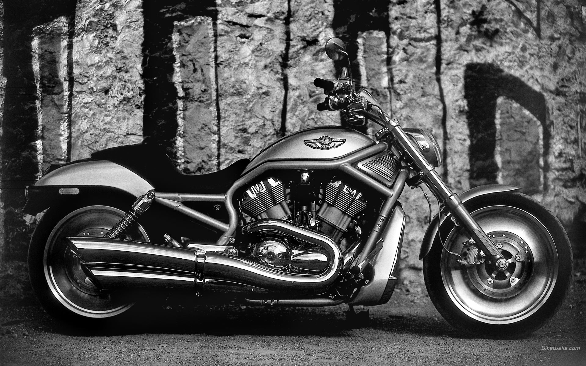 Harley-Davidson_VRSCA_V-Rod_2003_05.jpg