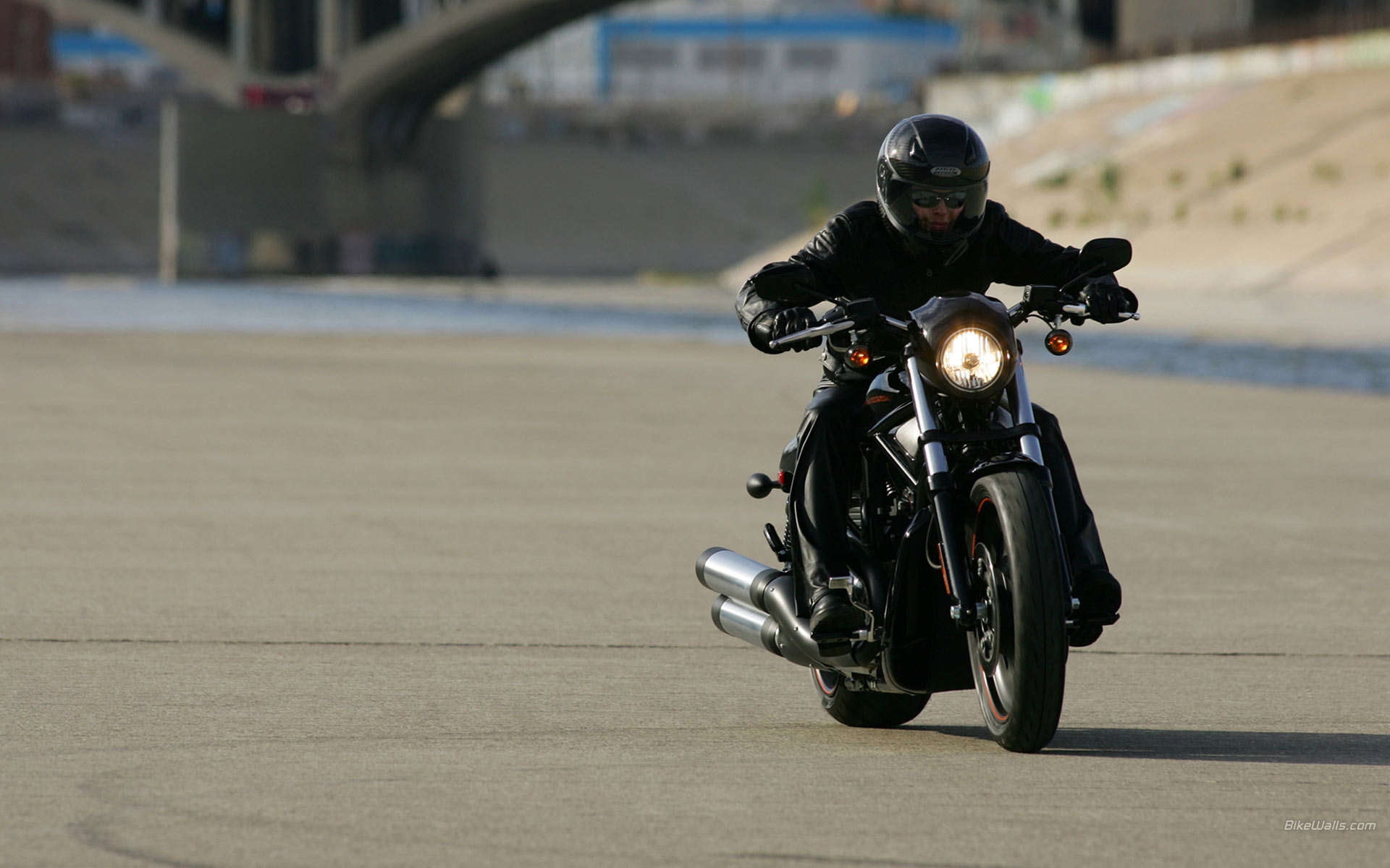 Harley-Davidson_VRSCDX_2007_05.jpg