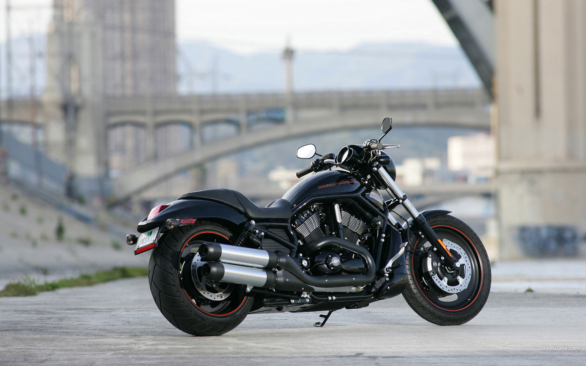 Harley-Davidson_VRSCDX_2007_06.jpg
