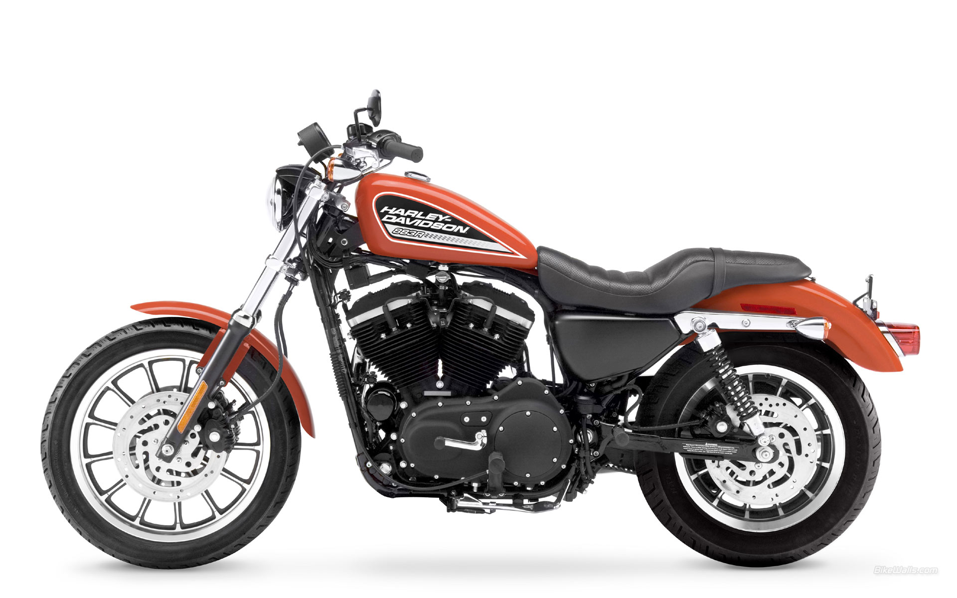 Harley-Davidson_Sportster_XL883R_2005_07.jpg