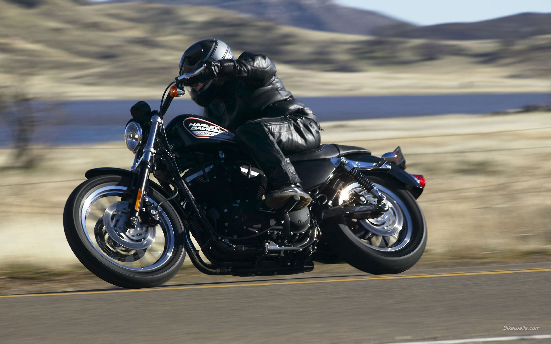 Harley-Davidson_Sportster_XL883R_2005_10.jpg
