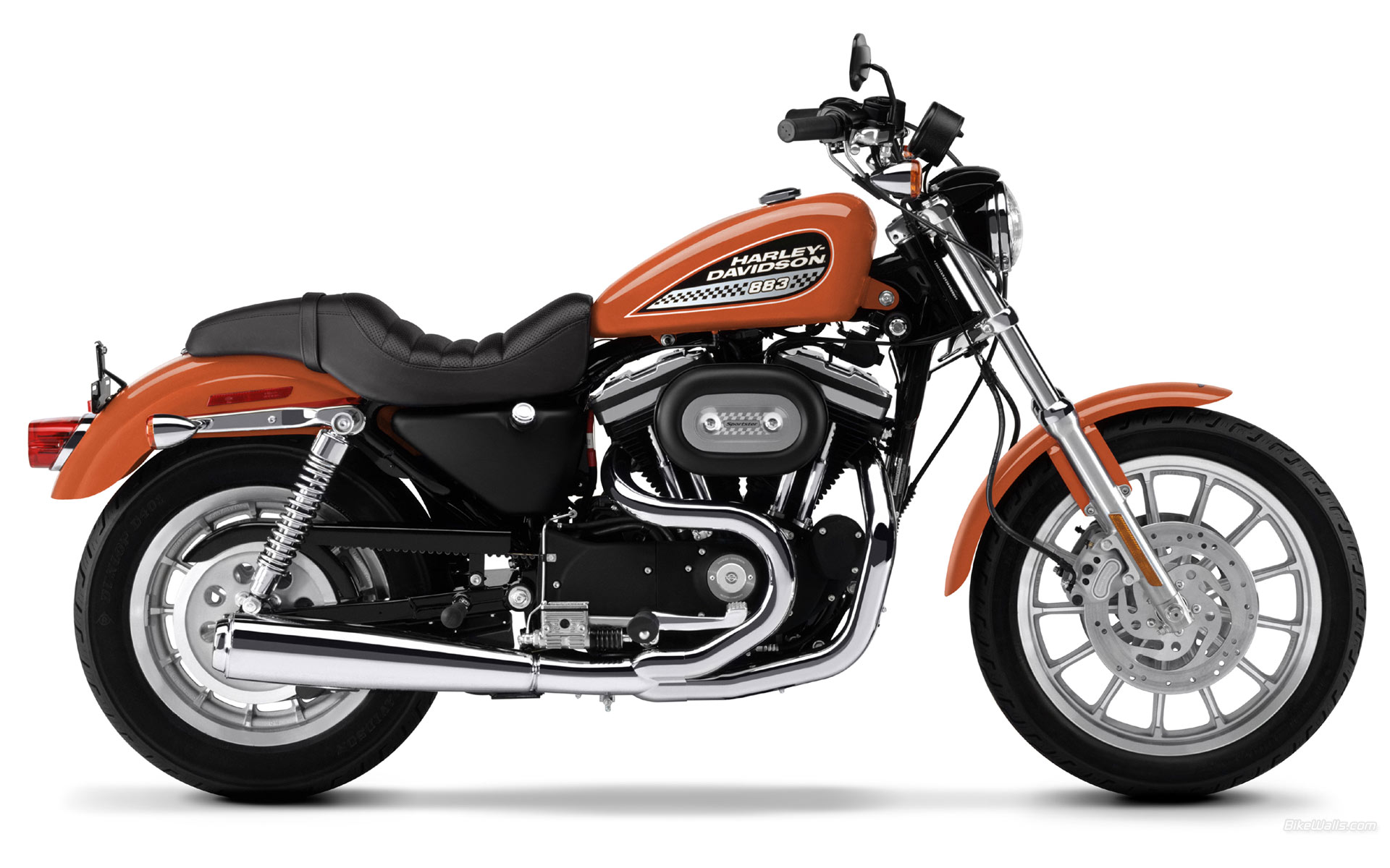 Harley-Davidson_XL883R_2006_01.jpg