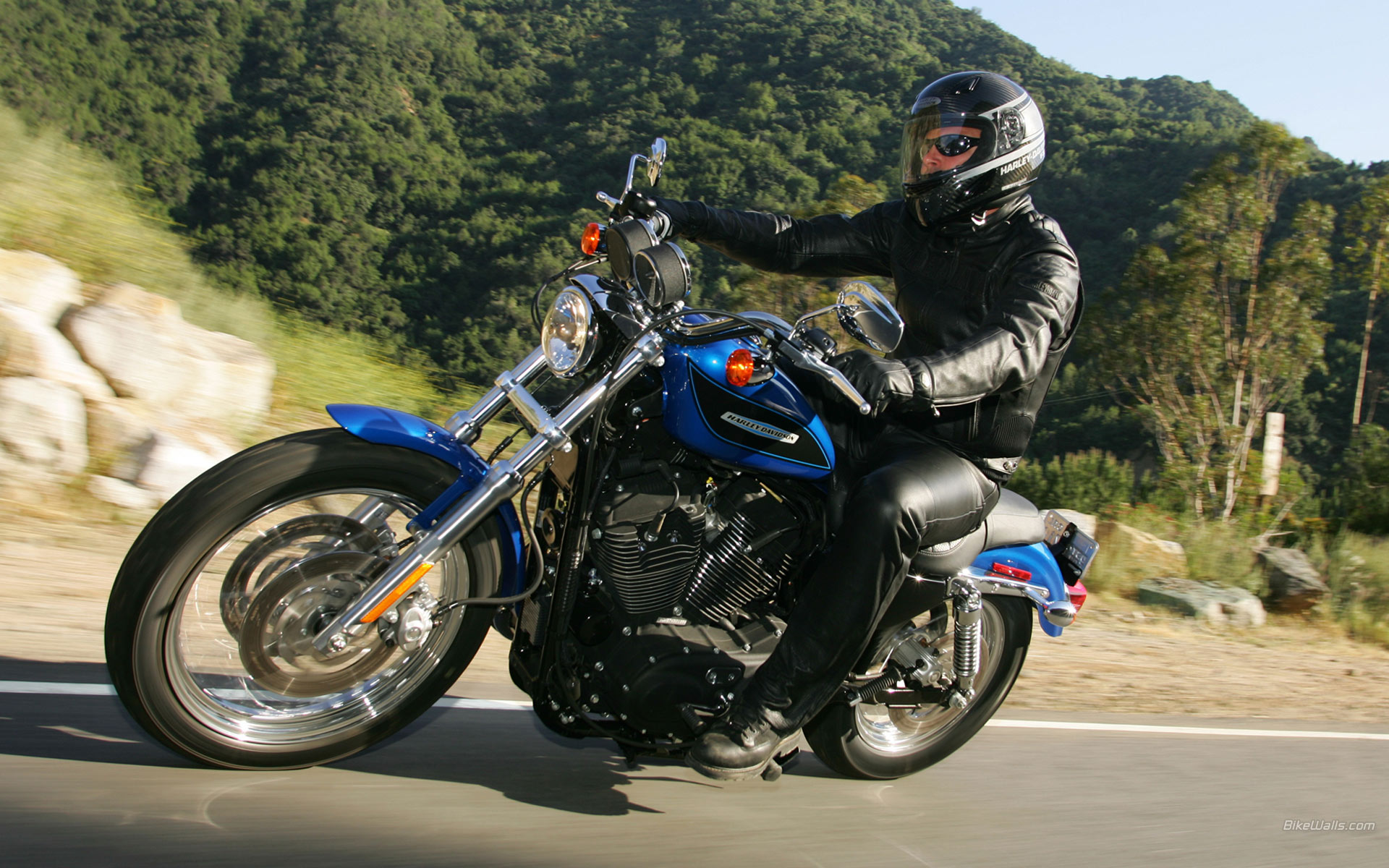 Harley-Davidson_XL1200R_07.jpg