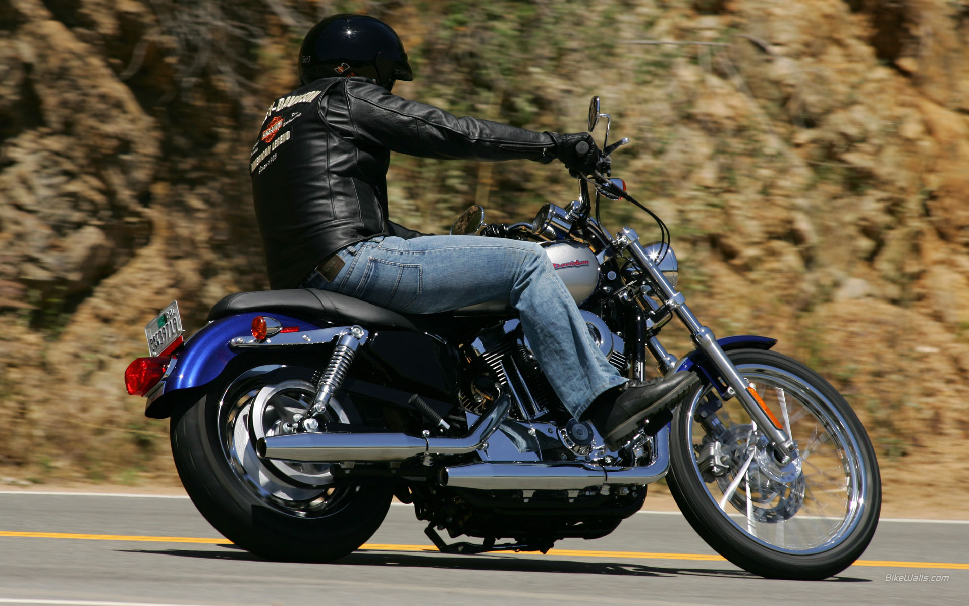 HD_XL_1200C_Sportster_Custom_2007_04.jpg