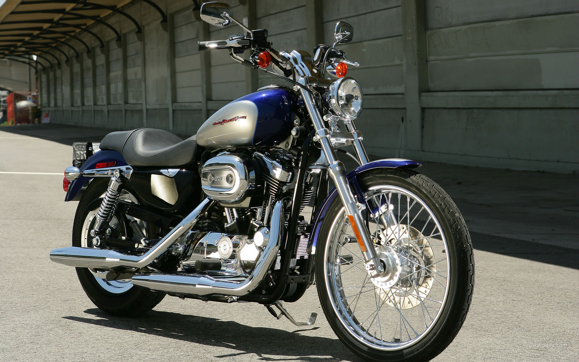 HD_XL_1200C_Sportster_Custom_2007_07.jpg