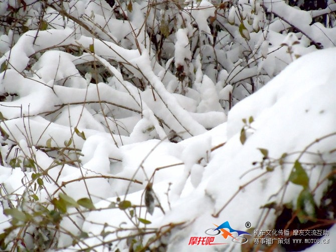 好大雪