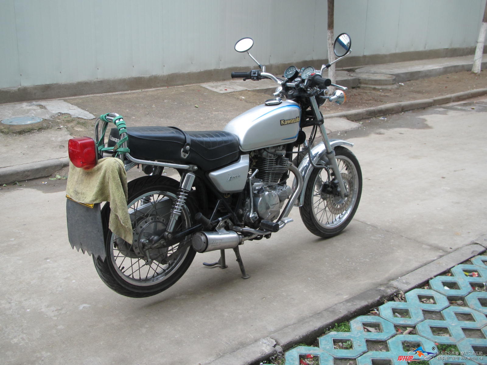 HK250，，，幼兽 004.JPG