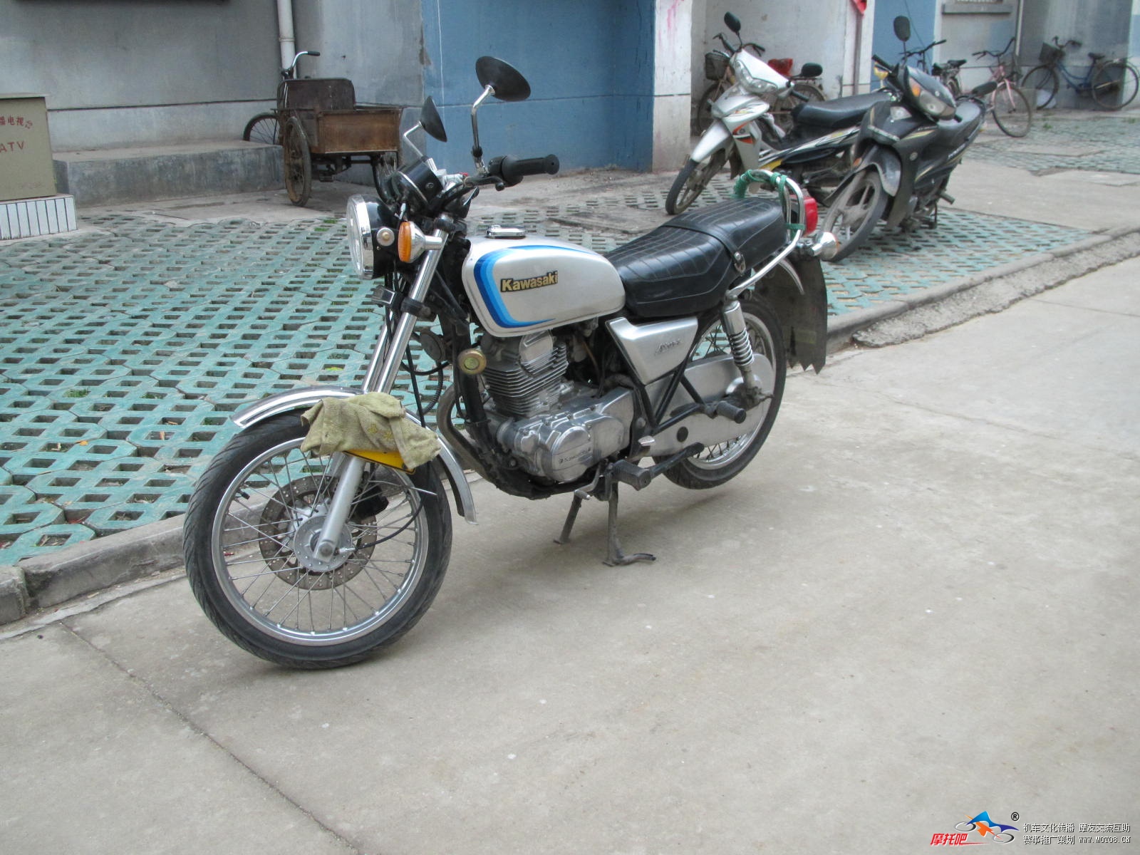 HK250，，，幼兽 003.JPG