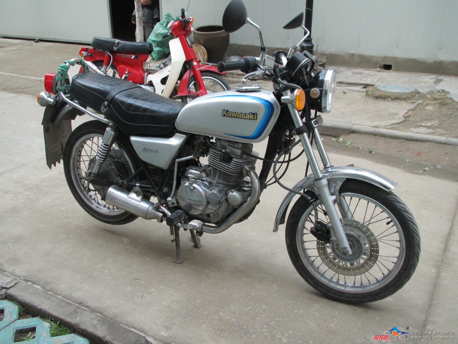 HK250，，，幼兽 001.JPG