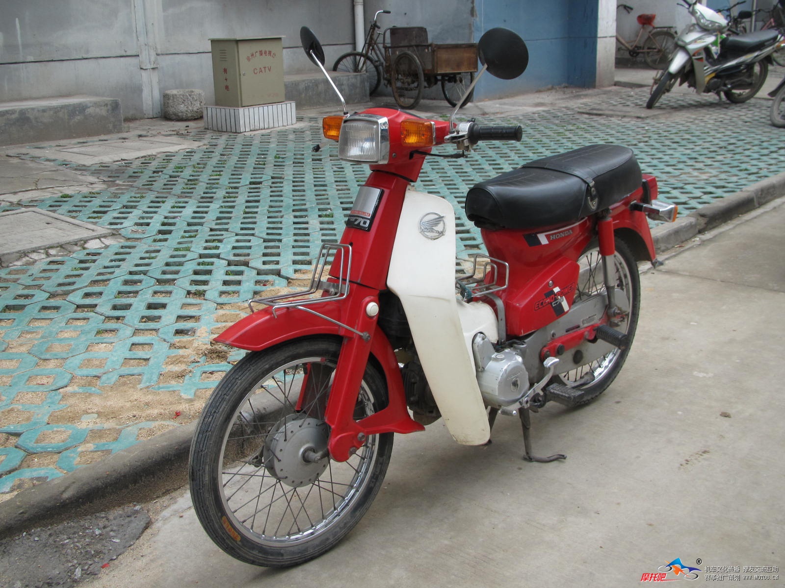 HK250，，，幼兽 017.JPG