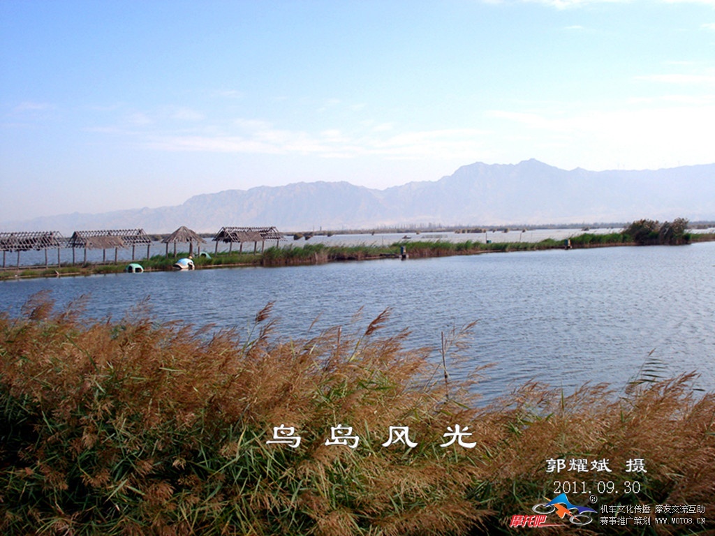 DSC02663_副本_副本.jpg