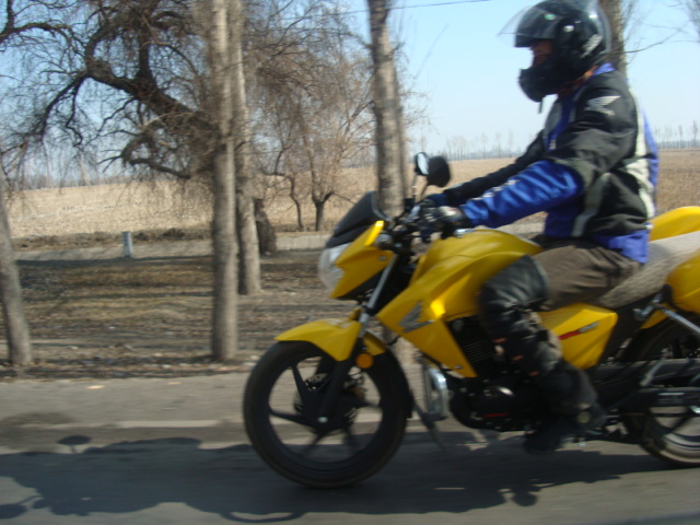 新疆这个季节，到处青黄不泛的，没有什么风景