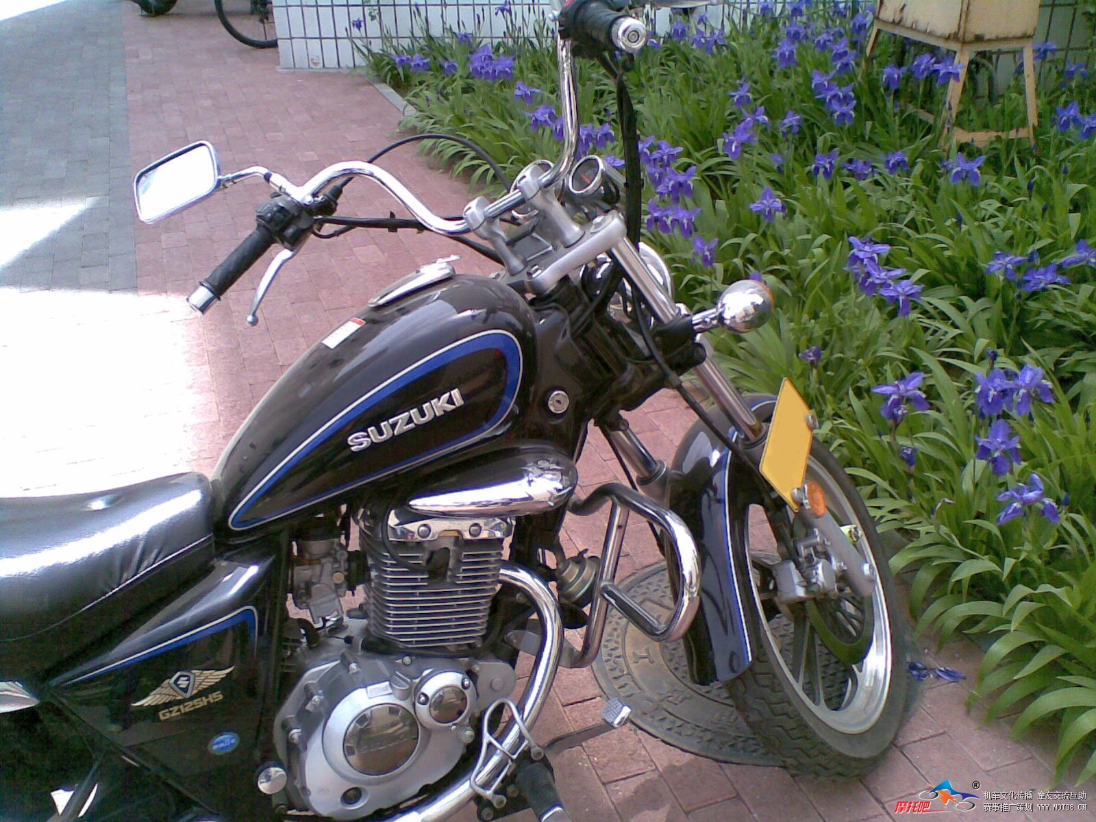 20120503.jpg