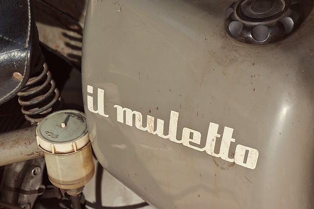 ducati-muletto-2.jpg