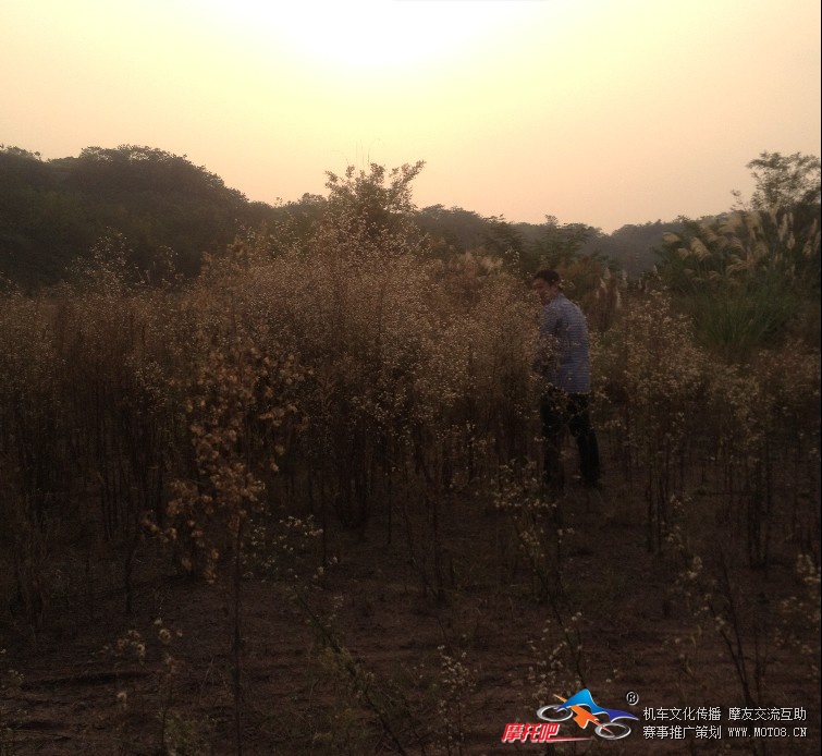 某国内大师级教练，为祖国干枯的花草浇甘露。。