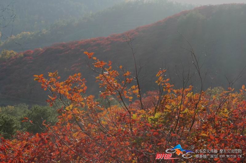 红叶山 118.jpg