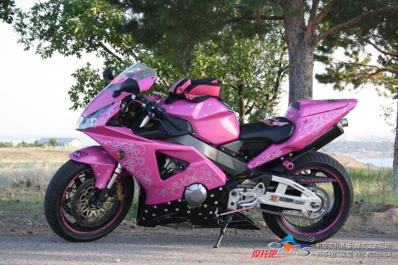 俄罗斯女郎和她滴 本田粉色honda cbr954rr