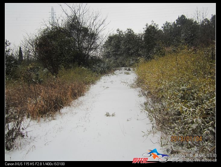 雪中林道