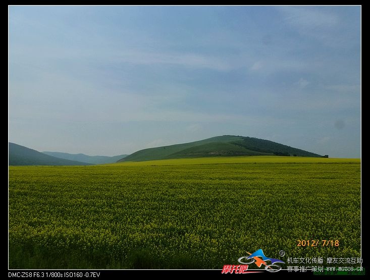 又见油菜花，慢慢的离开了草原，没了美丽的景色，也没了拍照的冲动