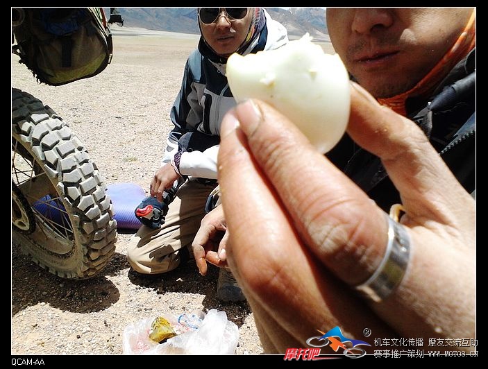在荒漠中摩旅，鸡蛋是最好的充饥食物，也是小活塞的最爱喔