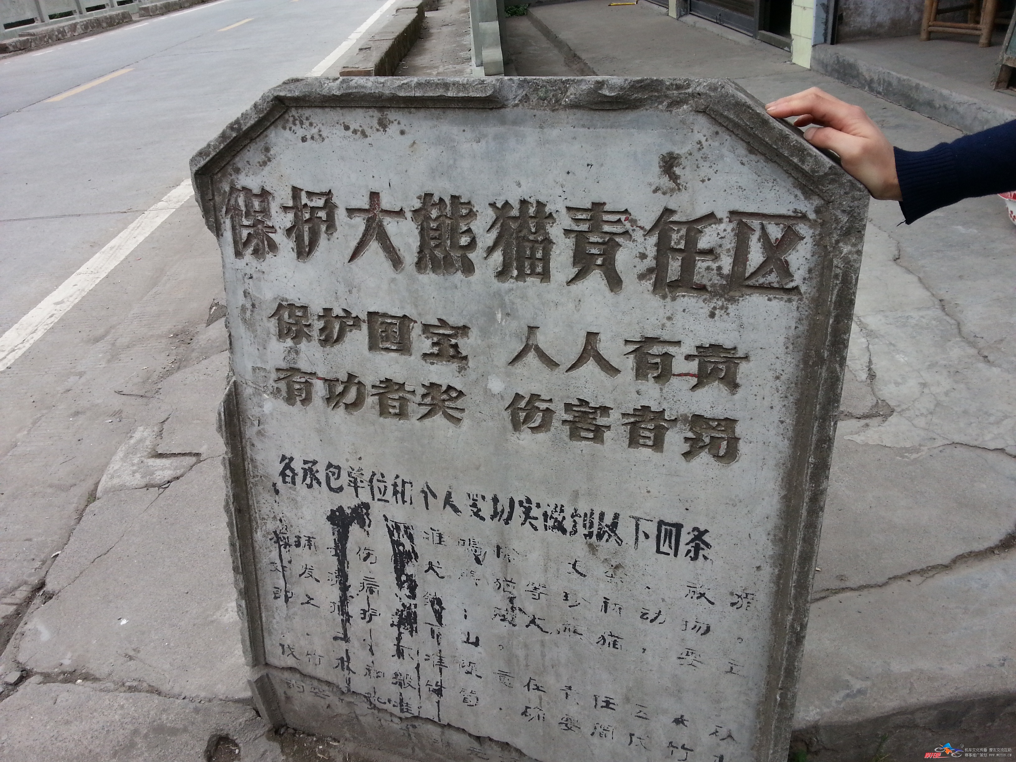 20130424_131653.jpg