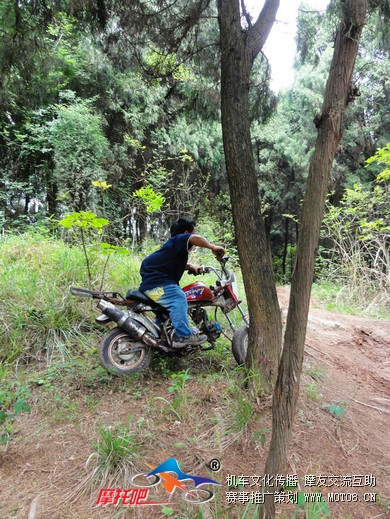 龙泉长城林道 (11).JPG