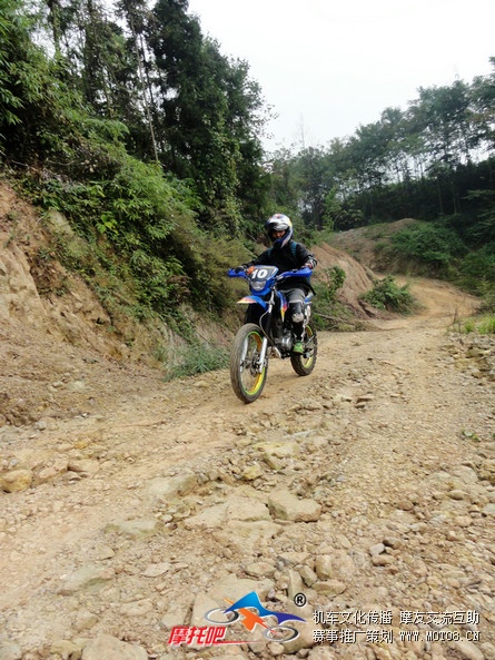 川越、青城山赵公林道 (17).jpg