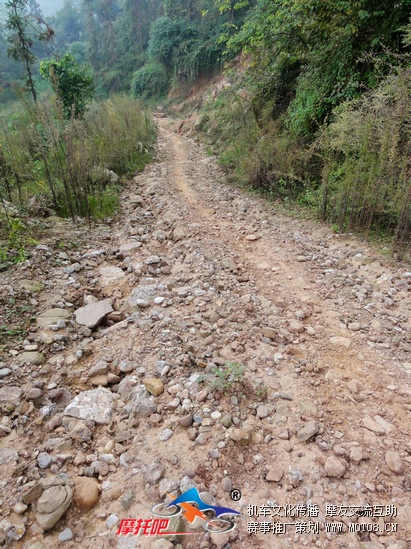 川越、青城山赵公林道 (47).jpg