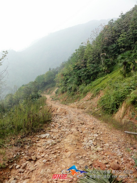 川越、青城山赵公林道 (23).jpg