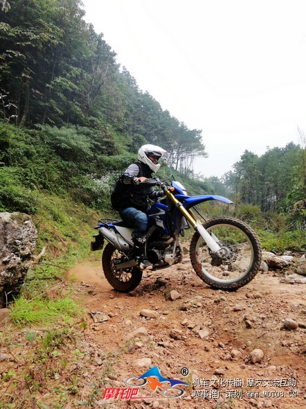 川越、青城山赵公林道 (80).jpg