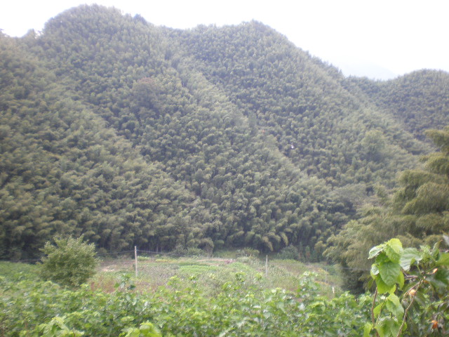 PA030098.JPG