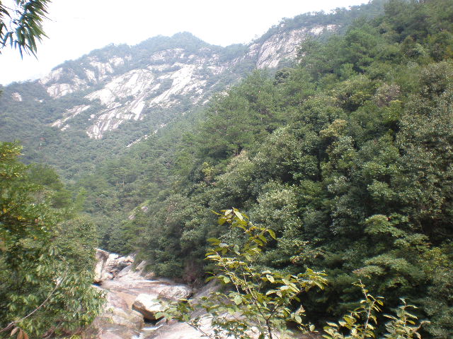 PA050392.JPG