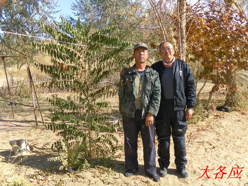 我于杨宝山，左面是长大的小树苗